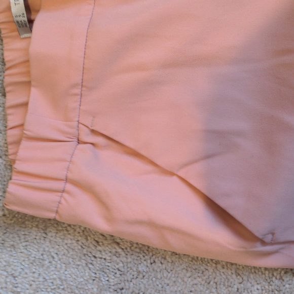 Blush colored ZARA pants - Picture 5 of 8